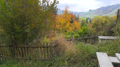 Gartenzaun2 (Foto: Barbara Hubele) Gartenzaun2 (Foto: Barbara Hubele)