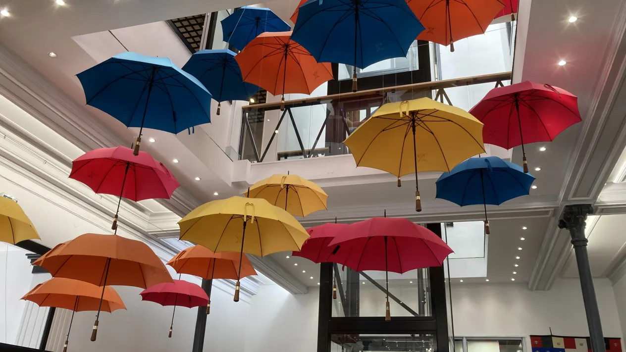 Beschirmung (Foto: Barbara Hubele) Beschirmung (Foto: Barbara Hubele)