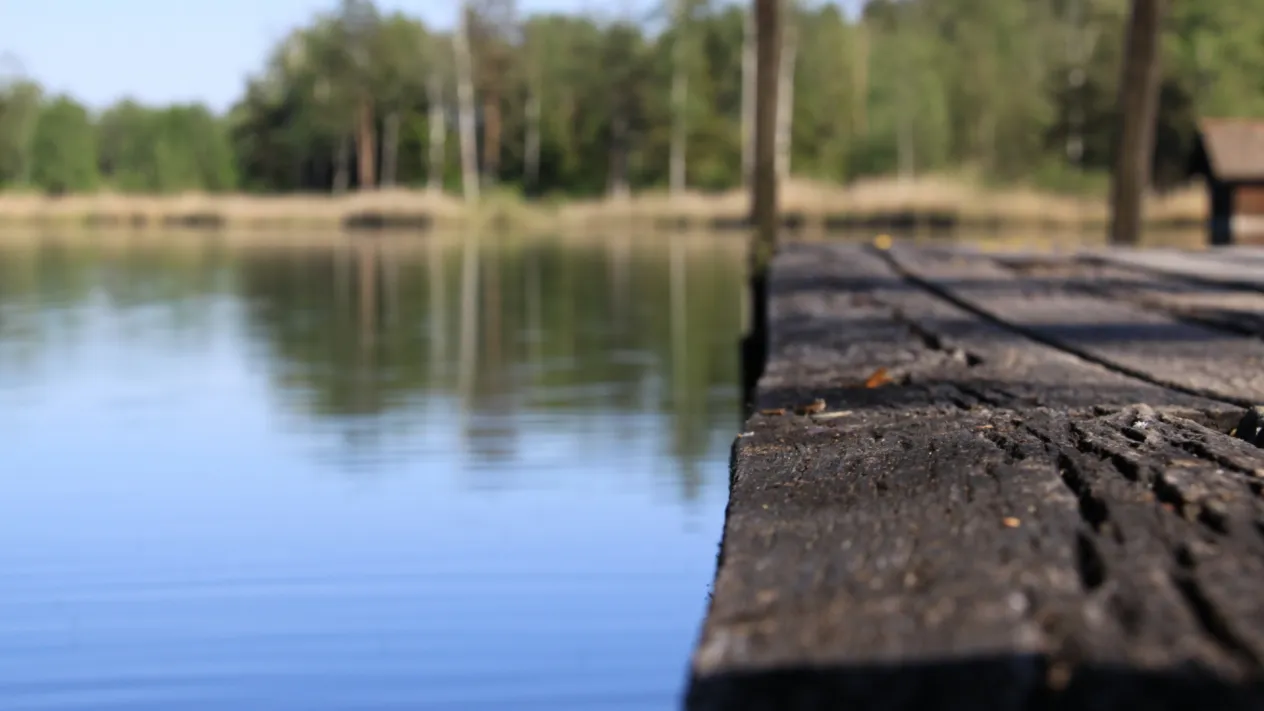 Steg am See (Foto: David Jufer) Steg am See (Foto: David Jufer)
