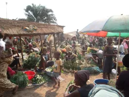 Afrika-VVVMarkt (Foto: Unbekannt) Afrika-VVVMarkt (Foto: Unbekannt)