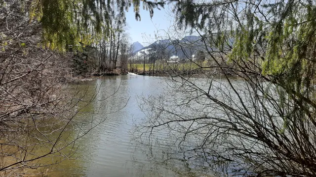 Weiher am Aubach Frühling (Foto: Urs Jäger) Weiher am Aubach Frühling — Weiher am Aubach Trachslau (Foto: Urs Jäger)