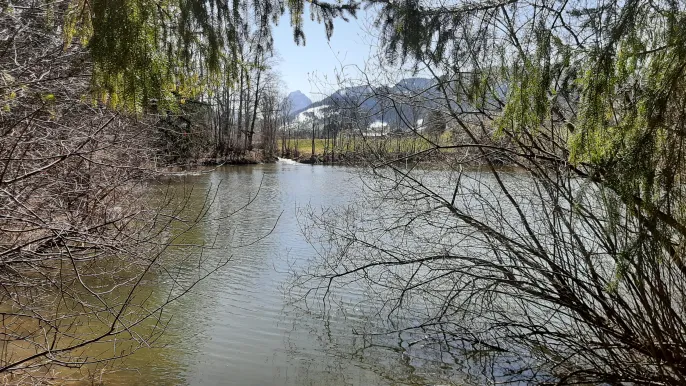 Weiher am Aubach Frühling (Foto: Urs Jäger) Weiher am Aubach Frühling: Weiher am Aubach Trachslau (Foto: Urs Jäger)