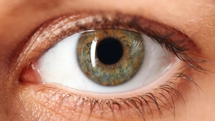 26.b Auge_GESCHNITTEN (Foto: 123RF) 26.b Auge_GESCHNITTEN (Foto: 123RF)