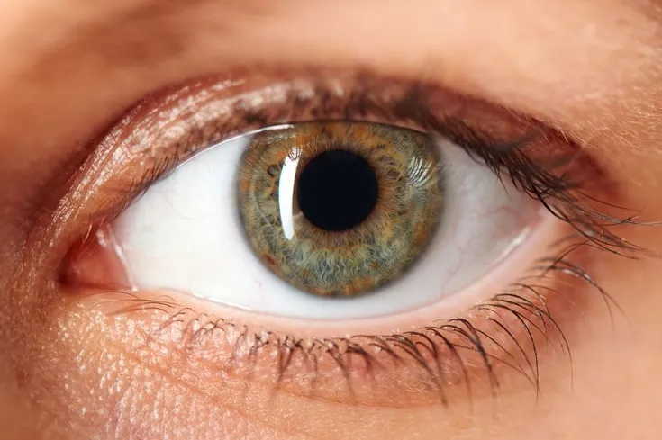 26.b Auge_GESCHNITTEN (Foto: 123RF) 26.b Auge_GESCHNITTEN (Foto: 123RF)