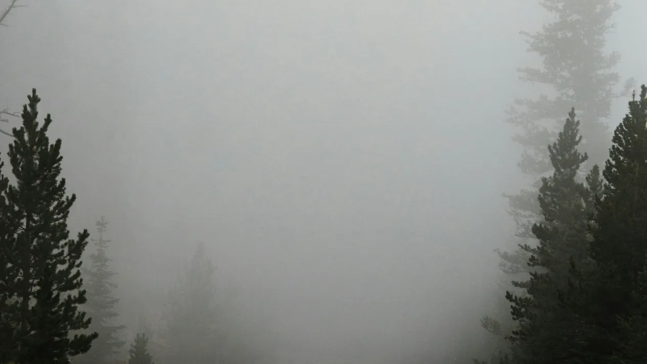 Nebel (Foto: Katie Moum – Unsplash) Nebel (Foto: Katie Moum – Unsplash)